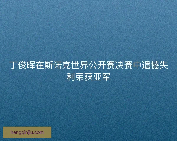 丁俊晖在斯诺克世界公开赛决赛中遗憾失利荣获亚军