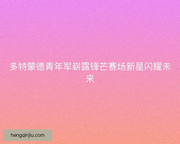 多特蒙德青年军崭露锋芒赛场新星闪耀未来